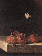 COORTE, Adriaen Three Medlars with a Butterfly df France oil painting artist